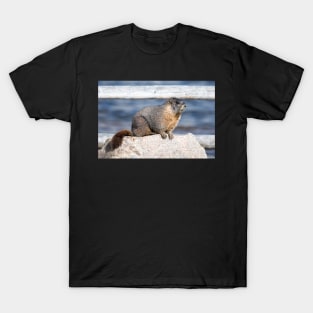 The Marmot Mentor T-Shirt